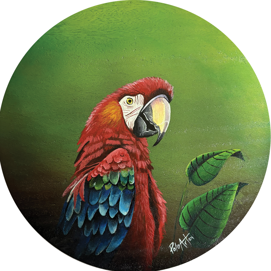 Feathers of Joy